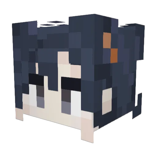 Aadit1212 Minecraft avatar head, 3D render