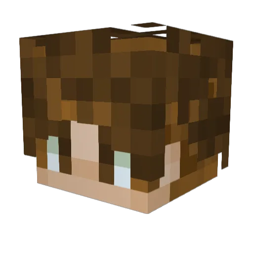 Aadtje1 Minecraft avatar head, 3D render