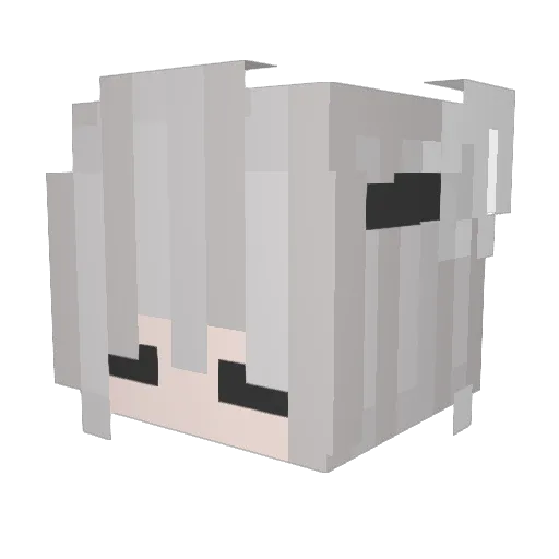 Aaep Minecraft avatar head, 3D render