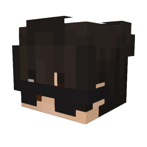 AagesTWM Minecraft avatar head, 3D render