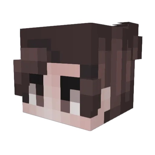 Aaigem Minecraft avatar head, 3D render