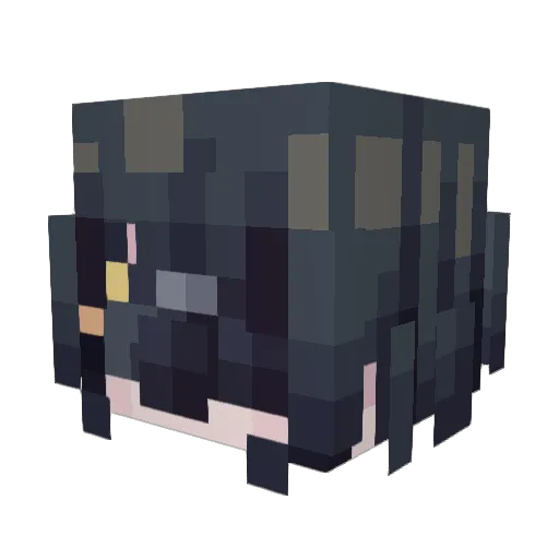 Aainy_ Minecraft avatar head, 3D render