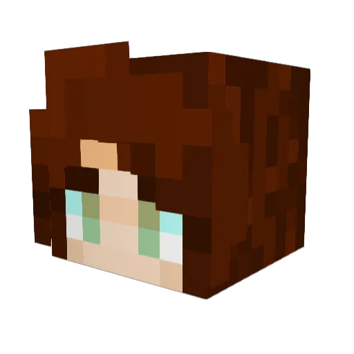 Aalie11 Minecraft avatar head, 3D render