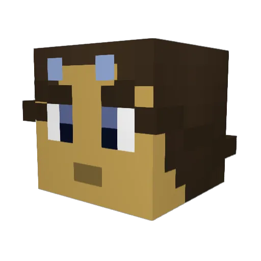 Aamiroo Minecraft avatar head, 3D render
