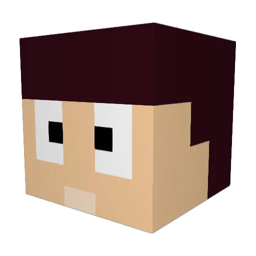Aandy255 Minecraft avatar head, 3D render