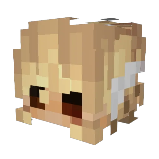 Aangelscu Minecraft avatar head, 3D render