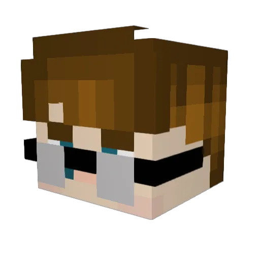 Aanwill Minecraft avatar head, 3D render