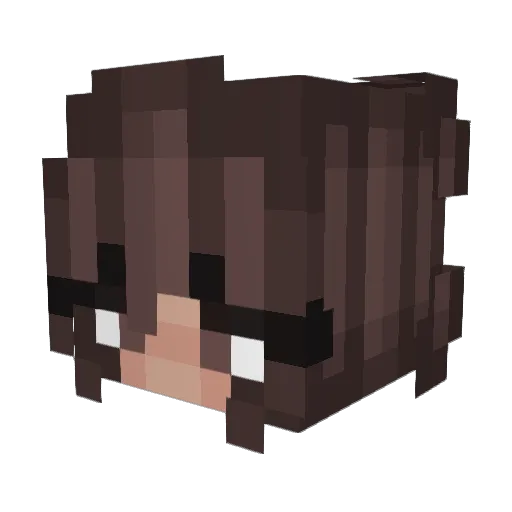 Aanya__ Minecraft avatar head, 3D render