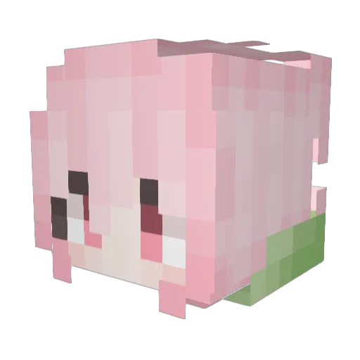 Aaqiu_ Minecraft avatar head, 3D render