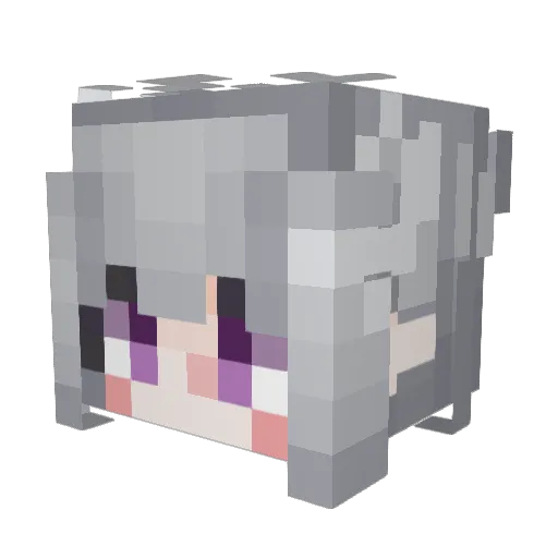 Aar0n_idk Minecraft avatar head, 3D render