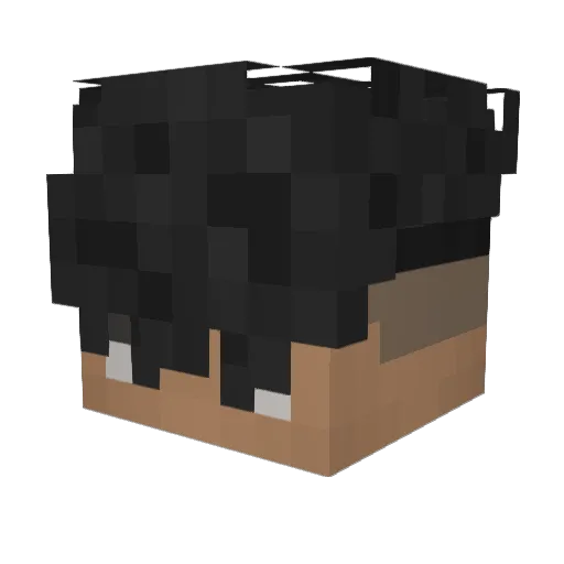 Aardeon Minecraft avatar head, 3D render