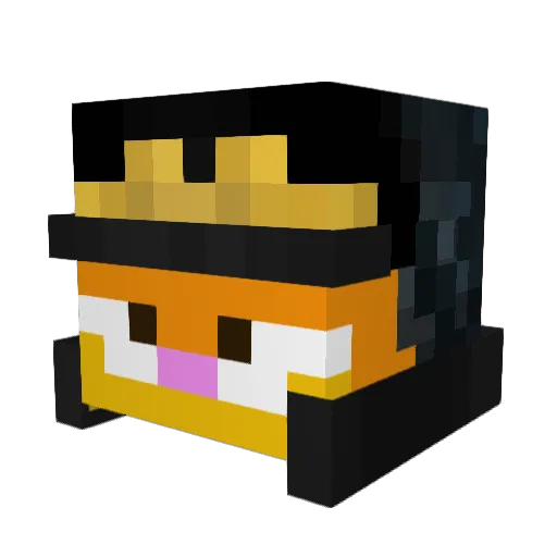 Aardvaark_ Minecraft avatar head, 3D render