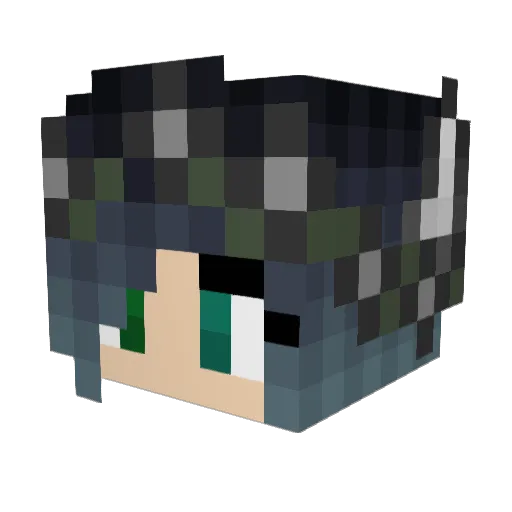 Aardwolf26 Minecraft avatar head, 3D render