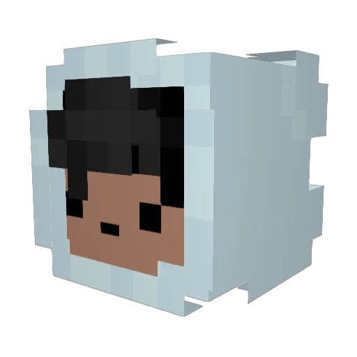 Aarfan Minecraft avatar head, 3D render