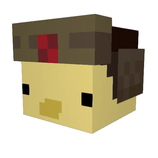 Aargust Minecraft avatar head, 3D render