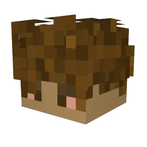 Aarizzler Minecraft avatar head, 3D render