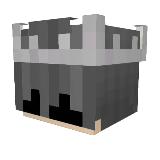 Aaron1009 Minecraft avatar head, 3D render