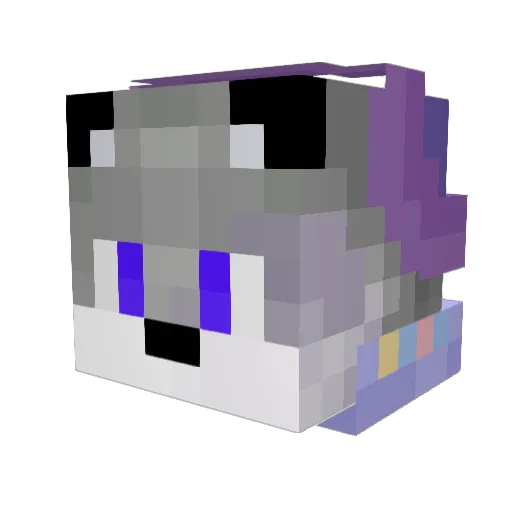 Aaron1954 Minecraft avatar head, 3D render