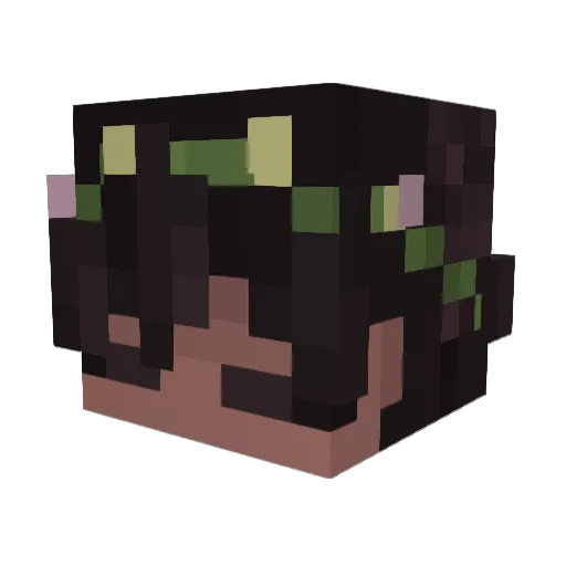 Aaron3416 Minecraft avatar head, 3D render