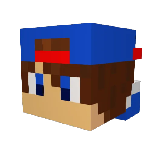 Aaron559Killer Minecraft avatar head, 3D render