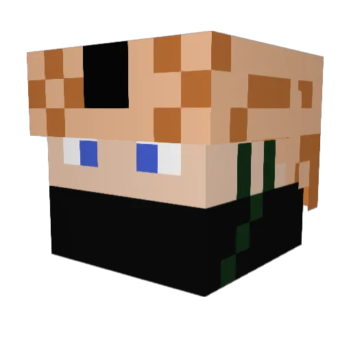 AaronBadassery Minecraft avatar head, 3D render