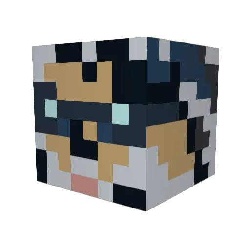 AaronDameron Minecraft avatar head, 3D render
