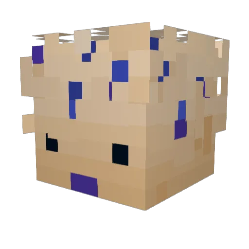 AaronErin11 Minecraft avatar head, 3D render