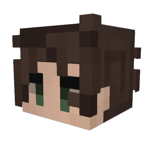 AaronGamer2002 Minecraft avatar head, 3D render