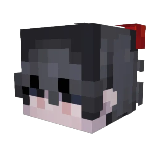 AaronI10 Minecraft avatar head, 3D render