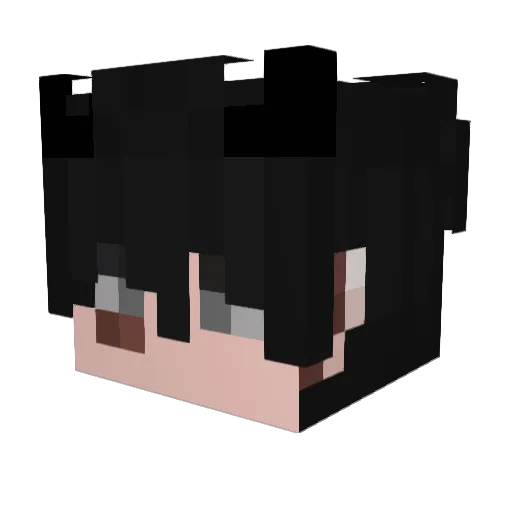 AaronJN7 Minecraft avatar head, 3D render