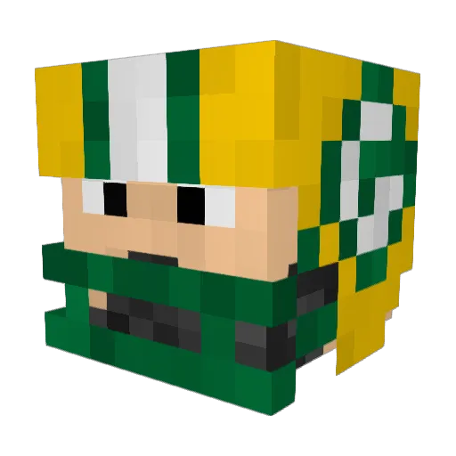AaronRodgers224 Minecraft avatar head, 3D render