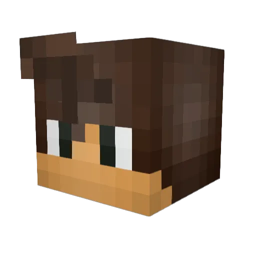 AaronSxn Minecraft avatar head, 3D render