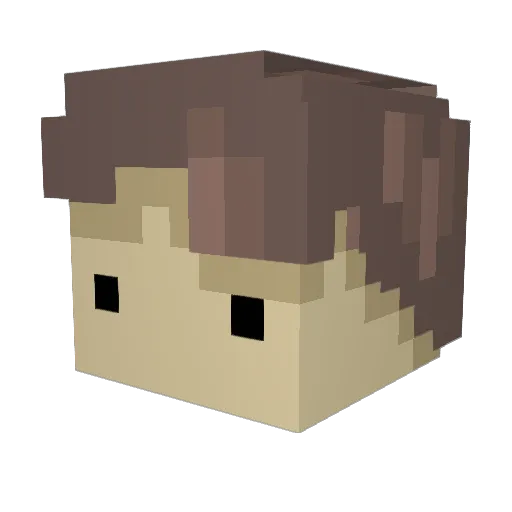 Aaron_Scottt Minecraft avatar head, 3D render