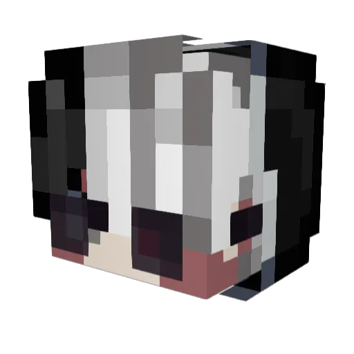 Aaron_ch8390 Minecraft avatar head, 3D render