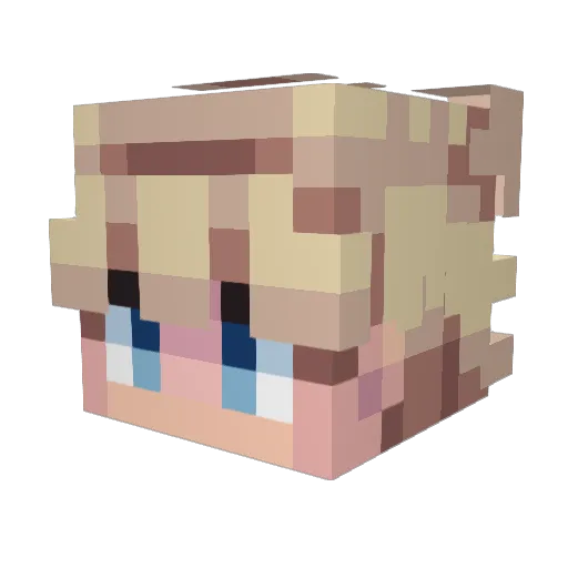 Aaronateataco Minecraft avatar head, 3D render