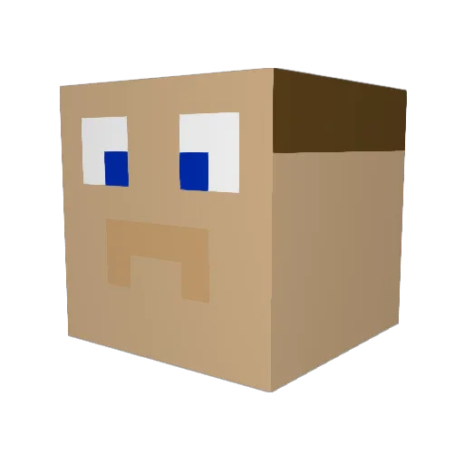 Aaronbiebiebaut1 Minecraft avatar head, 3D render
