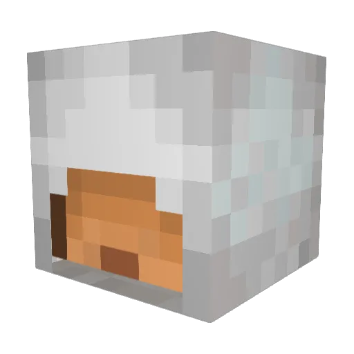 Aartvark Minecraft avatar head, 3D render