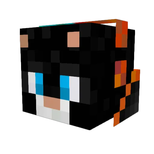 Aaruiju Minecraft avatar head, 3D render