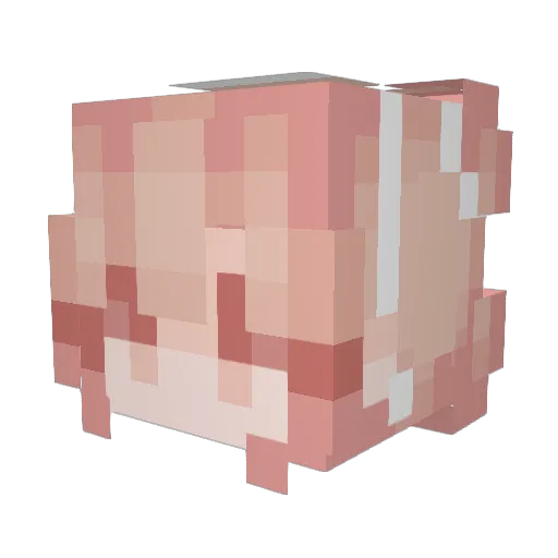 AarushiP Minecraft avatar head, 3D render