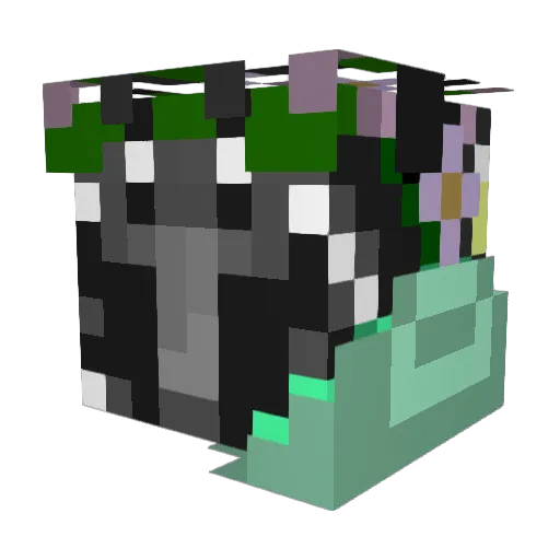 Aasid Minecraft avatar head, 3D render