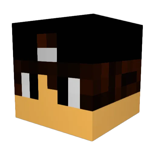 Aasland2212 Minecraft avatar head, 3D render