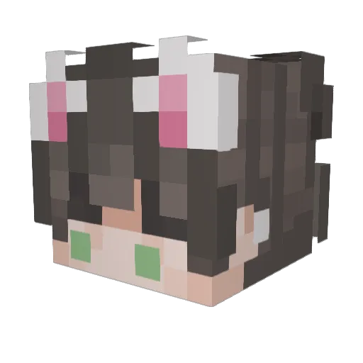 Aastorga92 Minecraft avatar head, 3D render