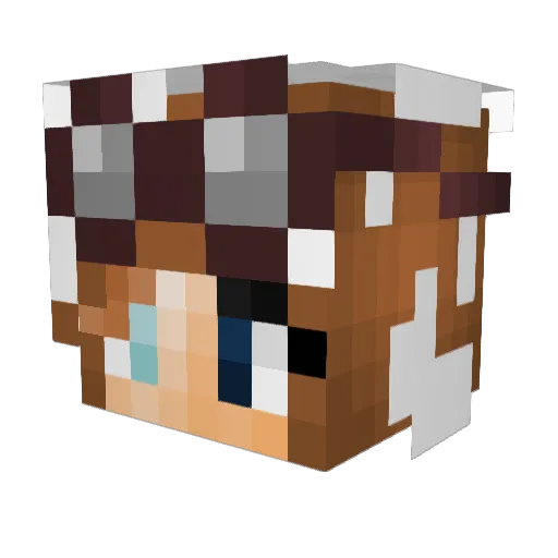 Aaviniac Minecraft avatar head, 3D render