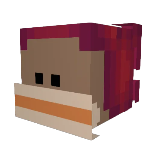 Aawpie Minecraft avatar head, 3D render