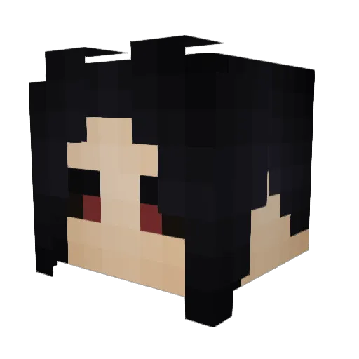 Aayushhero Minecraft avatar head, 3D render