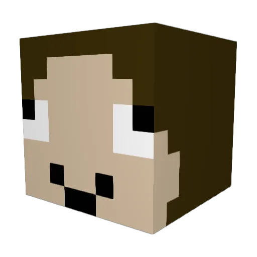 Aayx1023 Minecraft avatar head, 3D render