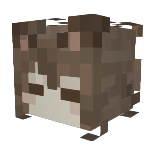 Ab1ii Minecraft avatar head, 3D render