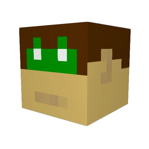 Ab1nSur Minecraft avatar head, 3D render