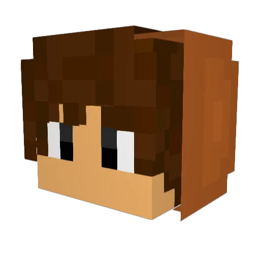 Abacaci Minecraft avatar head, 3D render