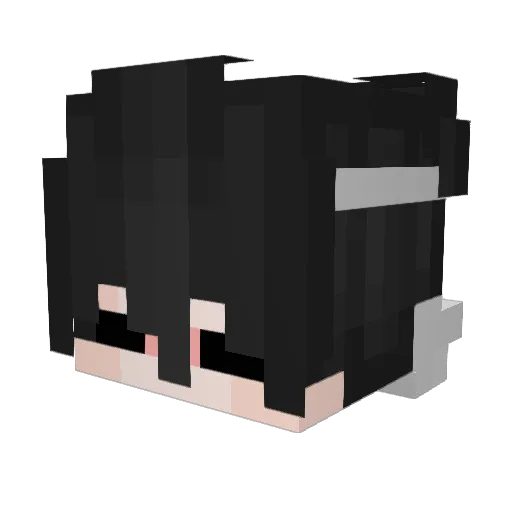Abaki_12 Minecraft avatar head, 3D render